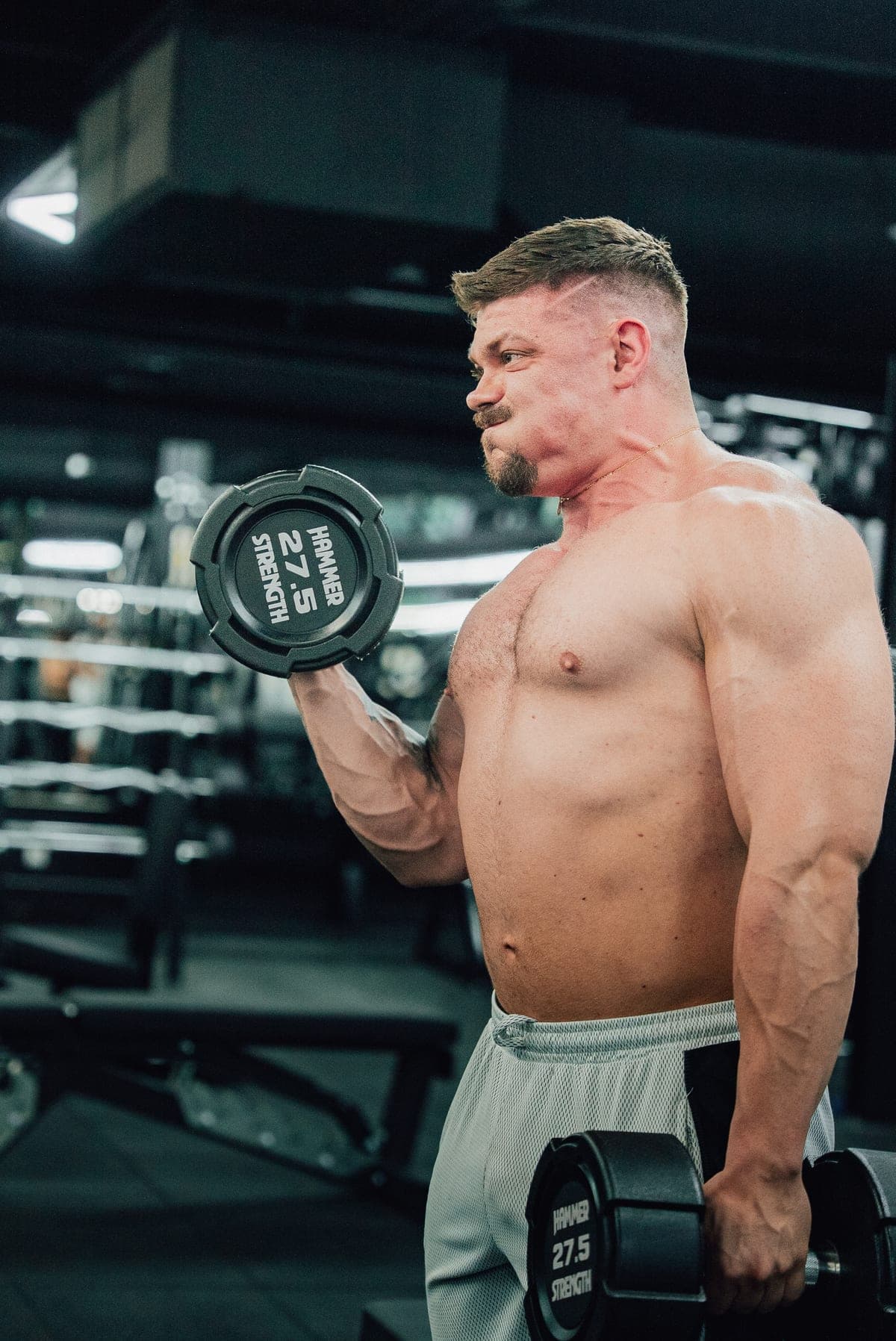 Séria na bicepsy